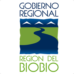 Gobierno Regional