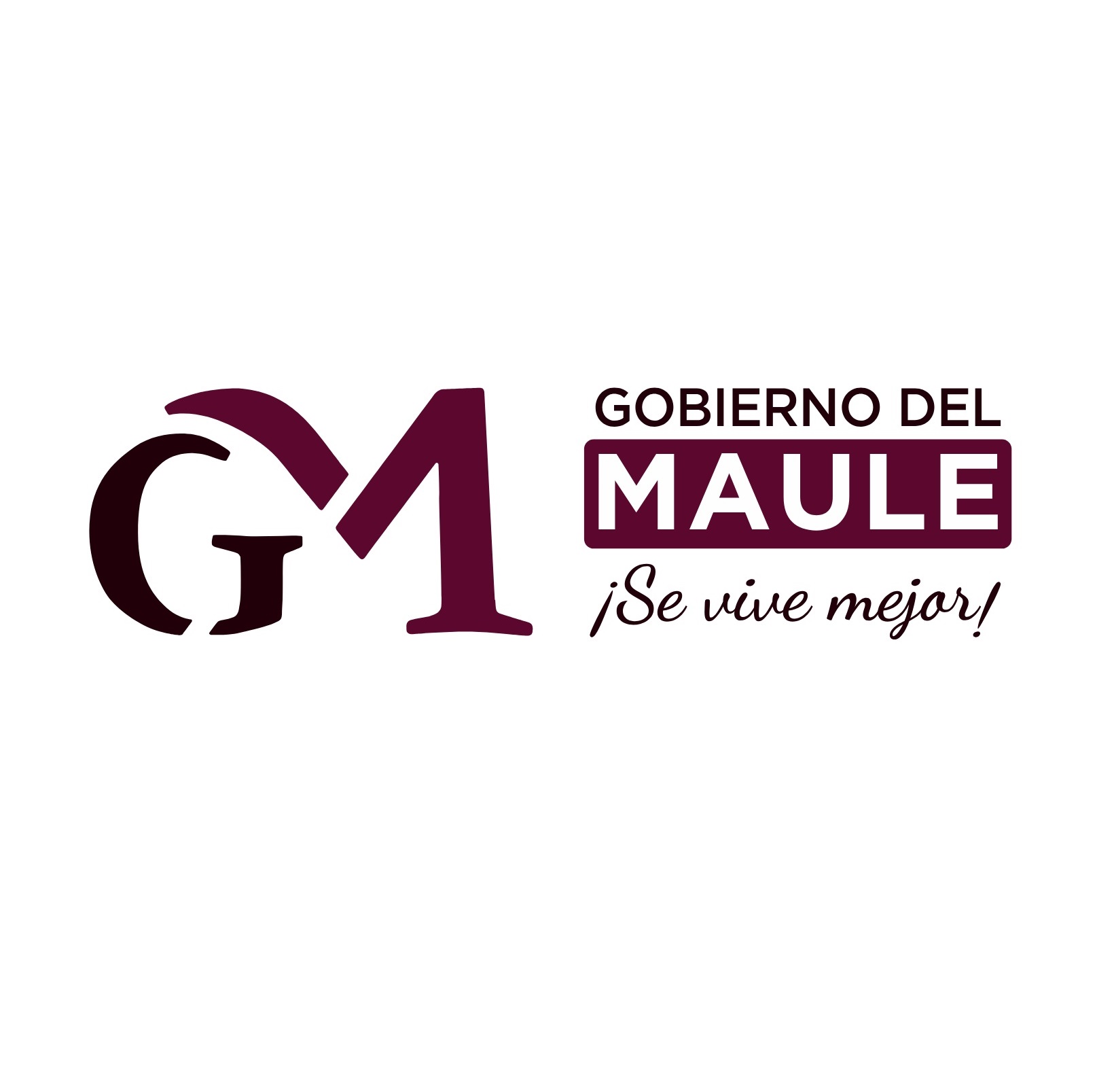 Gobierno Regional